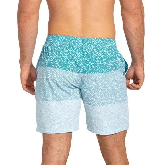 Chubbies Men's 5.5" Lined Swim Trunks – The Whale Shacks