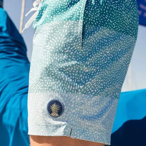 Chubbies Men's 5.5" Lined Swim Trunks – The Whale Shacks