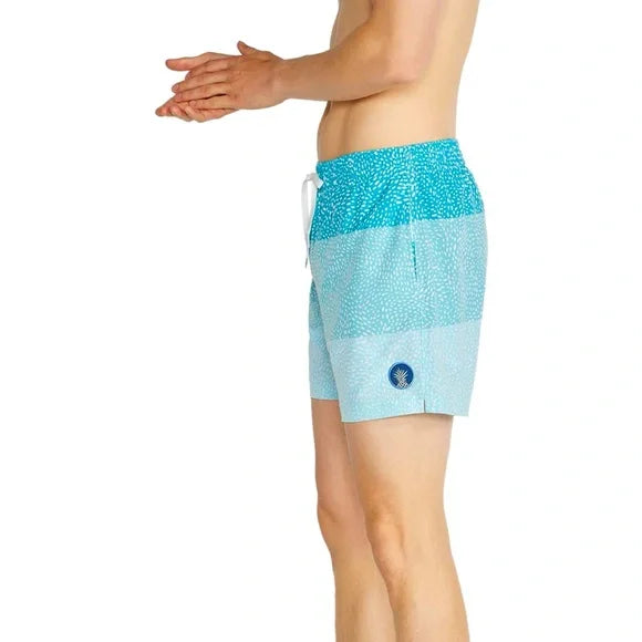 Chubbies Men's 5.5" Lined Swim Trunks – The Whale Shacks